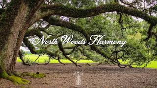 Agape - Bear&#39;s Den