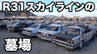 R31スカイラインが400台以上積んである怪しい会社に突撃取材！!