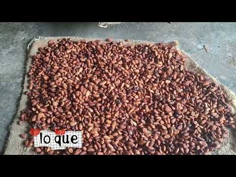 Vereda Castillo inspección de Patevaca Yacopí Cundinamarca. 