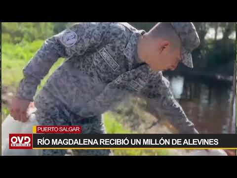 En Puerto Salgar, Cundinamarca, el Río Magdalena recibió un millón de alevines