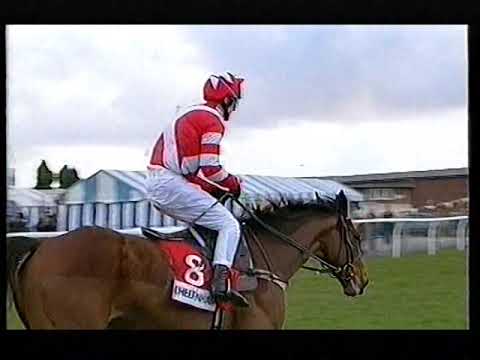 1995 Queen Mother Champion Chase  Viking Flagship Includes Replay & Enclosure