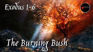 Come Follow Me - Exodus 1-6: "The Burning Bush"