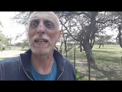 Ceibas Entre Rios!!!