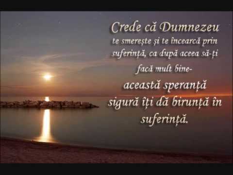 FLORIN PAL  Un drum  o cale...