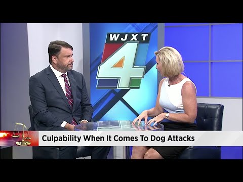 Local attorney John Phillips weighs in on culpability when dogs attacks