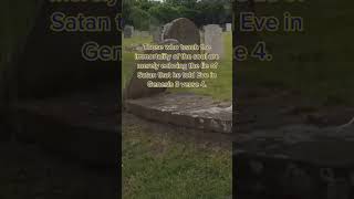 No such thing as an immortal soul