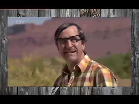 Posto di blocco poliziotto scopre che c'è una donna nel bagagliaio in macchina come andrà a finire