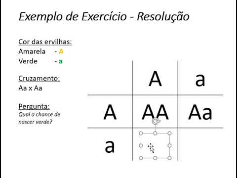Quadro de Punnett - 1ª Lei de Mendel (Biologia/Prof. Eymael)