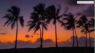 **SAND WARS** Trailer