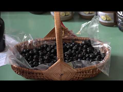 Agro Karavan Gradiška 24.03.2019. NAJAVA