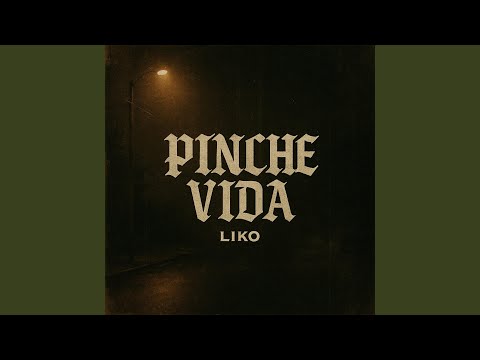 Pinche Vida