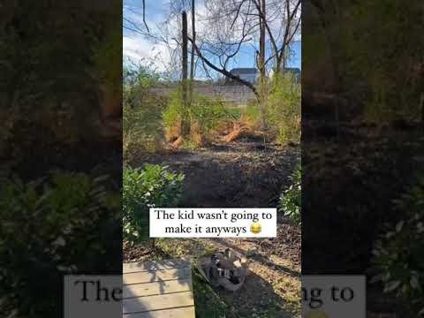 Watch hooman, it's huggie time 🐶😂....#doggo #hug #laugh #animal #hilarious