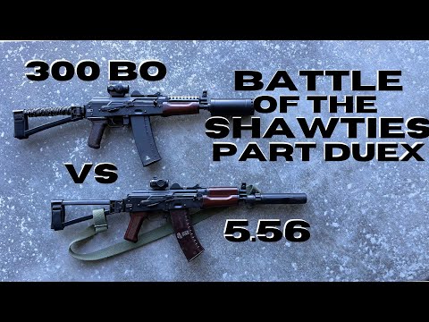 The Krink at Home Part 2 - PSA 300 Blackout Krink vs PSA 5.56 Krink