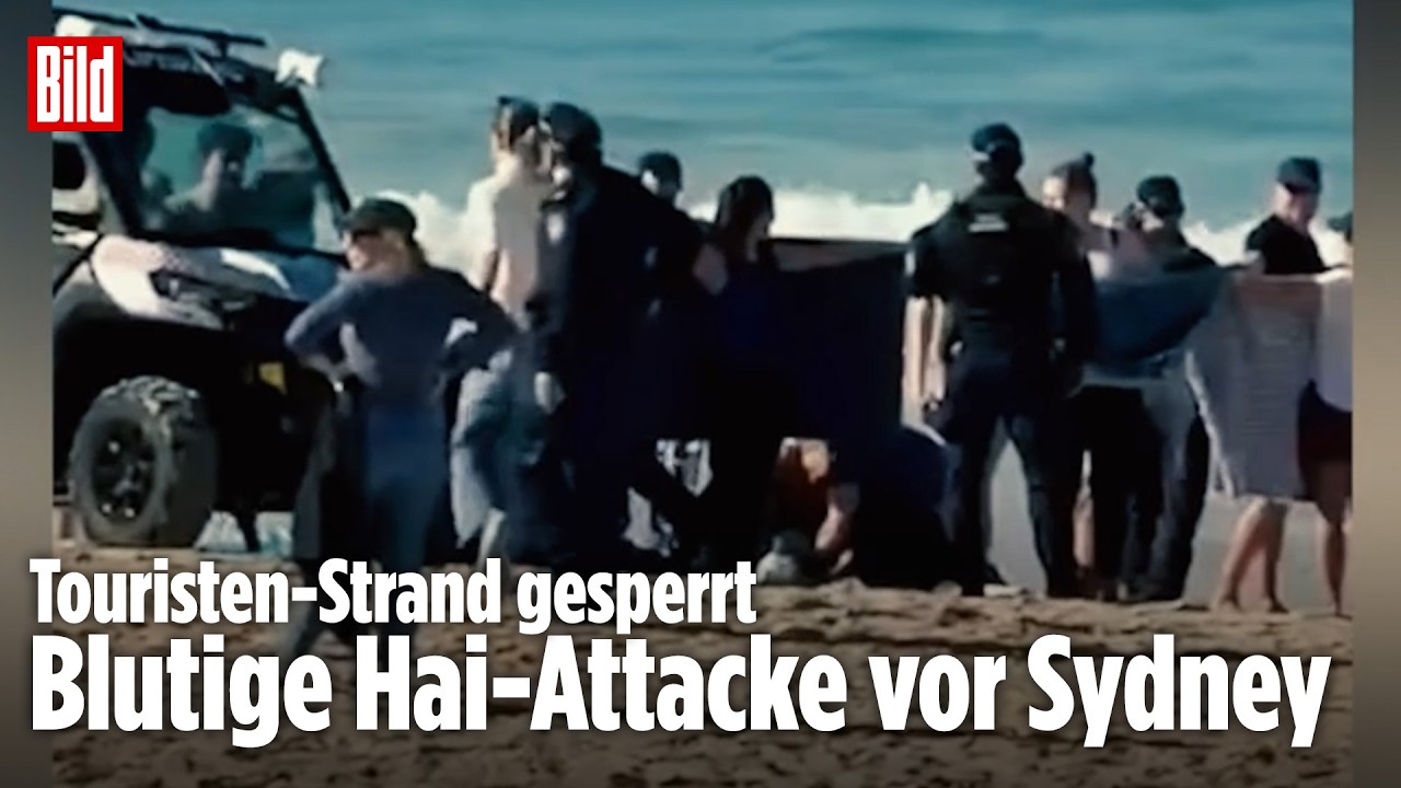SYDNEY: Hai greift Schwimmerin vor Touristen-Strand an – Vierter Angriff binnen weniger Wochen