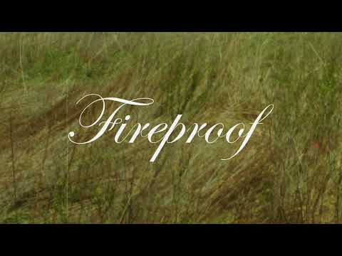 Fireproof - Mitski