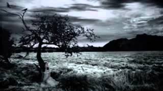 Brendan Perry   Voyage of Bran