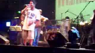 overjoyed - havoc lonel