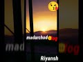 Madarchod Log Status Dantewada