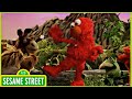 Sesame Street Take The First Step The Adventures Of Elmo In Grouchland