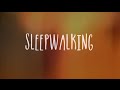 Sleepwalking | This Wild Life (BMTH Cover ...