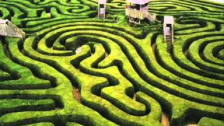 Des&#39;ree - Crazy Maze