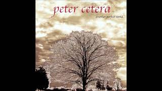 Peter Cetera - Perfect World (2001)