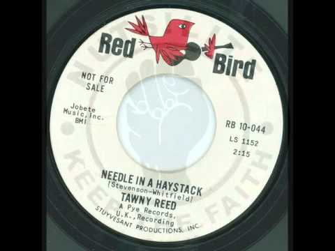 TAWNY REED - Needle in a haystack - RED BIRD
