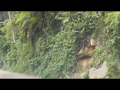 aventura pela cachoeira em Massaranduba Santa Catarina   largado e buscando