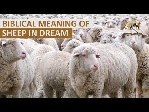 , title : 'Biblical Meaning of SHEEP in Dream - Spiritual Meaning of Sheep