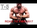 Road to FIBO 2017 | Brust Training 2 (FIBO 2017 Vorbereitung) | gottilifestyle.de
