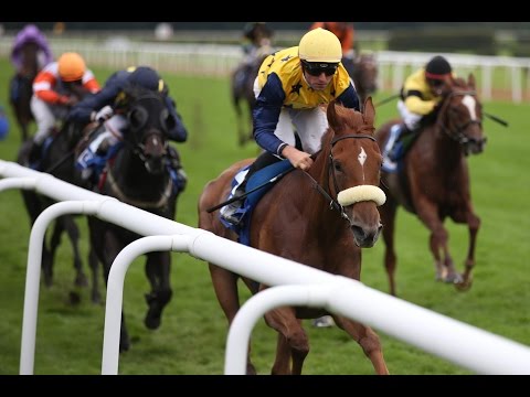 Hannover: Großer Preis der Metallbau Burckhardt GmbH (Listenrennen) - Siegerin: Amabelle