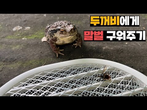 아이콘