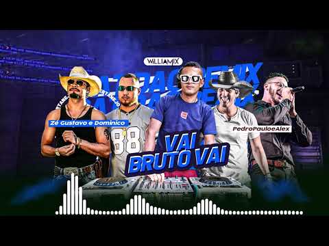 VAI BRUTO VAI - Zé Gustavo e Dominico ft PedroPauloeAlex  - ( WilliaMix ) Remix sertanejo - 2024