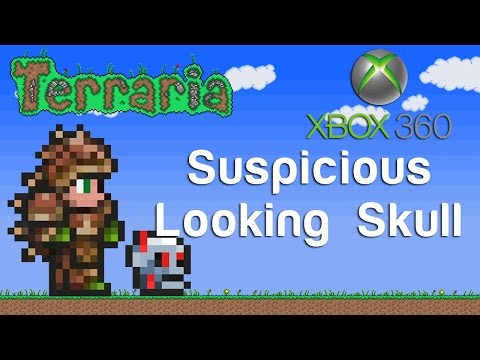 Suspicious Looking Skull