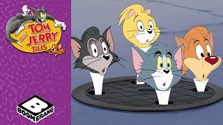 Download lagu Jerry VS One Naughty Ant ππ | Tom and Jerry Tales | Boomerang UK mp3 Download lagu Jerry VS One Naughty Ant ππ | Tom and Jerry Tales | Boomerang UK mp3