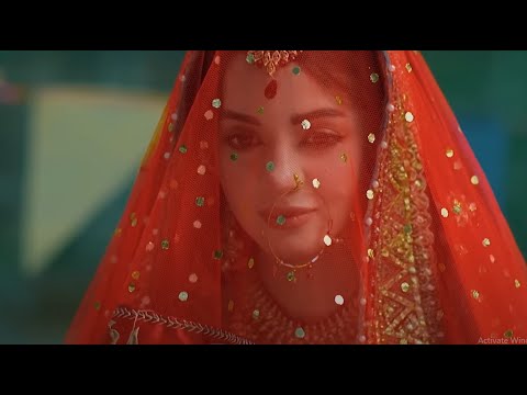 Qalandar | Episode 11 | Har Pal Geo l Drama |