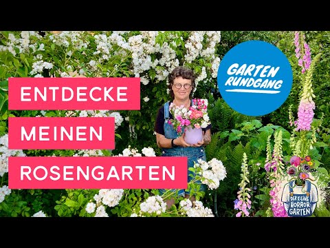 May garden tour - my garden is full of roses - how did that happen?