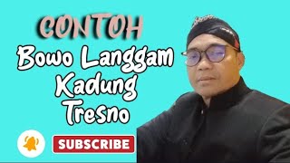 Download lagu Contoh Bowo langgam kadung tresno #mcpengantin mp3 Download lagu Contoh Bowo langgam kadung tresno #mcpengantin mp3