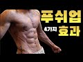 26개 논문이 증명하는 푸쉬업 효과 4가지