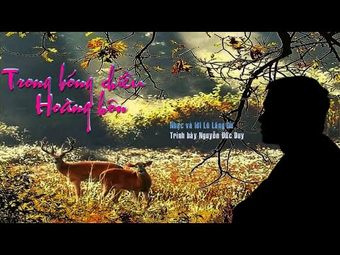 Trong bóng chiều hoàng hôn - Đức Duy