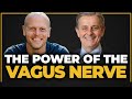 What Most Has My Attention Right Now Credible Vs Bogus Vagus Nerve Stimulation