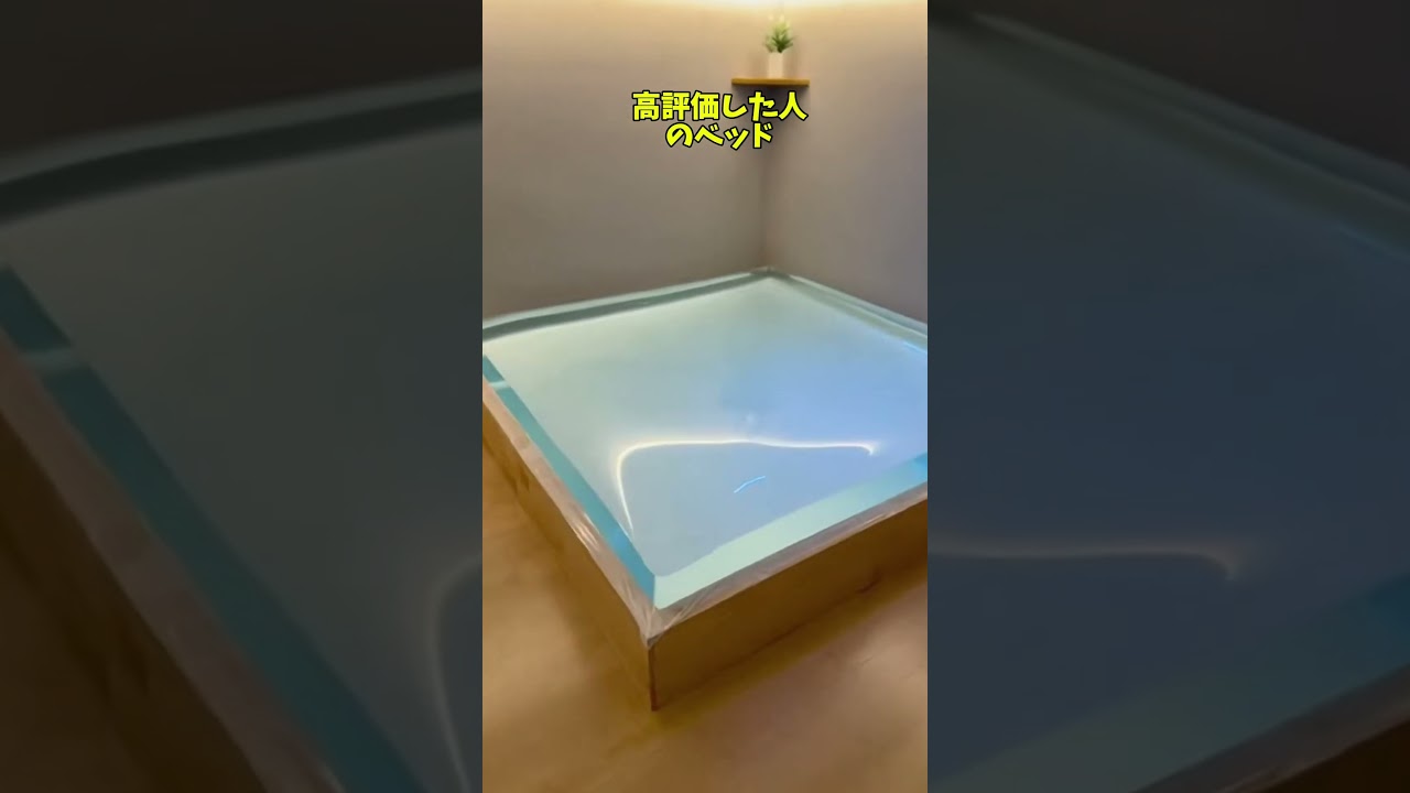 どのベッドで寝る？ #shorts #雑学 #おもしろい #雑談 #ベッド