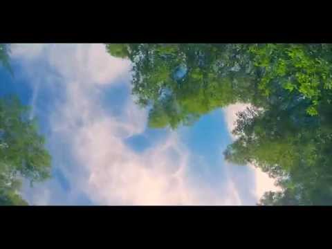 Okym - Vabamees (Semy, Sim Kares)