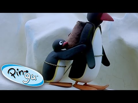 Pingu And His Dad Go On An Icy Adventure! @Pingu Cartoons For Kids - Kids (0-4), Kingdom Kids Zone - Pingu - Official Channel