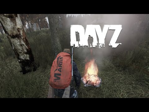 DayZ #012 | UPDATE 1.20 | Nicht Wieder Krank Werden.. Ich Mach Mal Ein FEUER | German Deutsch
