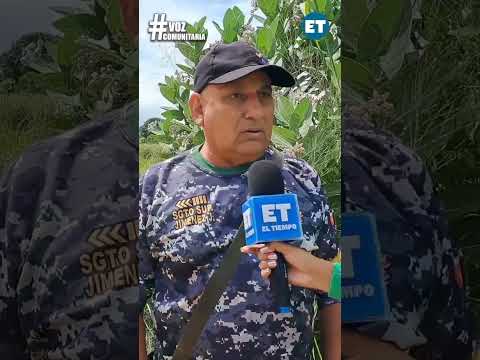 Empeora derrame de aguas servidas en el sector Inavi de El Tigre