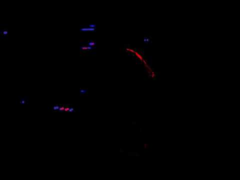 Sal B. Music Video
