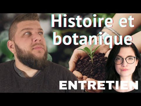 Les plantes et l'imaginaire : entretien avec Audrey Dominguez