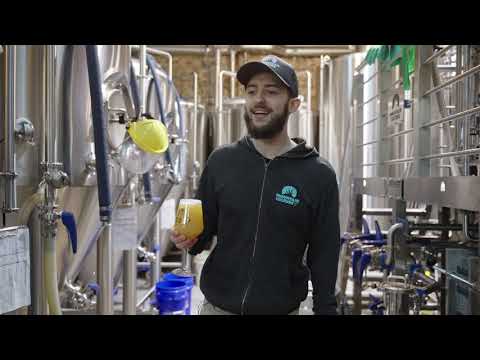 Pipe Dream DDH IPA & Pillow Talk Oat Cream IPA