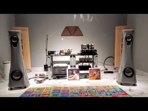 MastersounD 845 vs Micro seiki RX5000